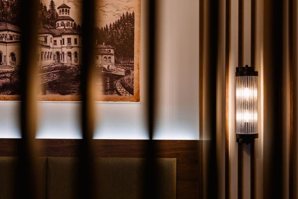 Eliss Studio Sinaia Zewnętrze zdjęcie